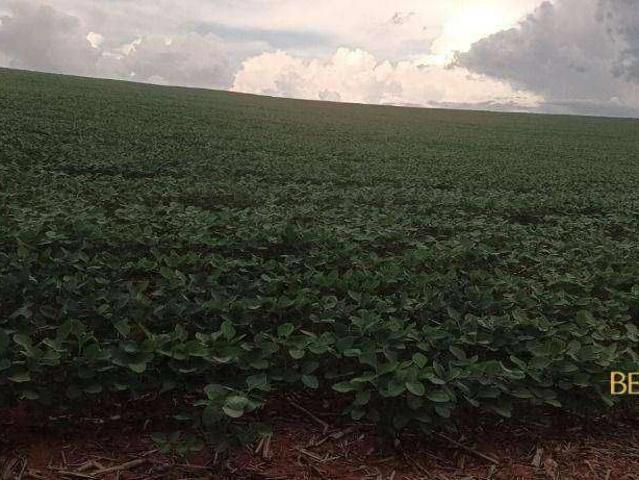 Fazenda venda em Comercial José Aparecido Ribeiro, Nova Mutum