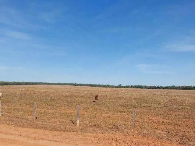 Fazenda venda em Região Geográfica Imediata de Sorriso, Nova Mutum