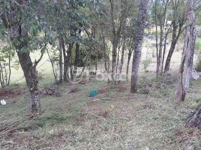 Fazenda venda em Região Geográfica Imediata de Caxias do Sul, Nova Petrópolis