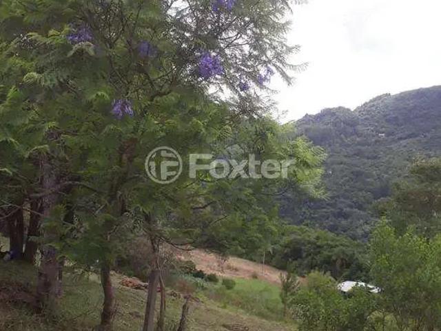 Fazenda venda em Região Geográfica Imediata de Caxias do Sul, Nova Petrópolis