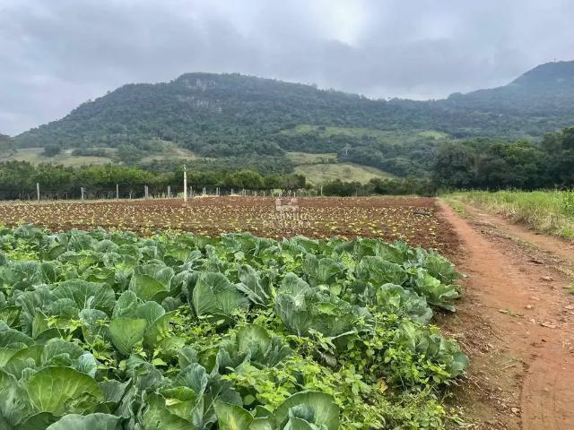 Fazenda venda em Região Geográfica Imediata de Caxias do Sul, Nova Petrópolis