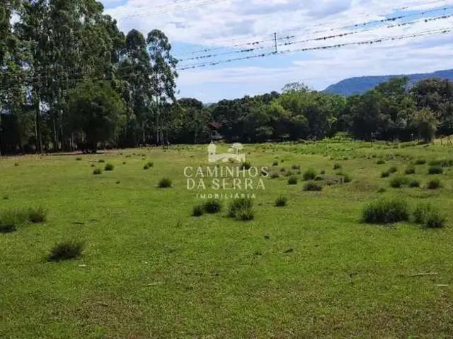 Fazenda venda em Região Geográfica Imediata de Caxias do Sul, Nova Petrópolis