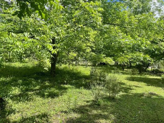 Fazenda venda em Região Geográfica Imediata de Caxias do Sul, Nova Petrópolis
