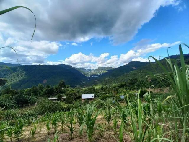 Fazenda venda em Região Geográfica Imediata de Caxias do Sul, Nova Petrópolis