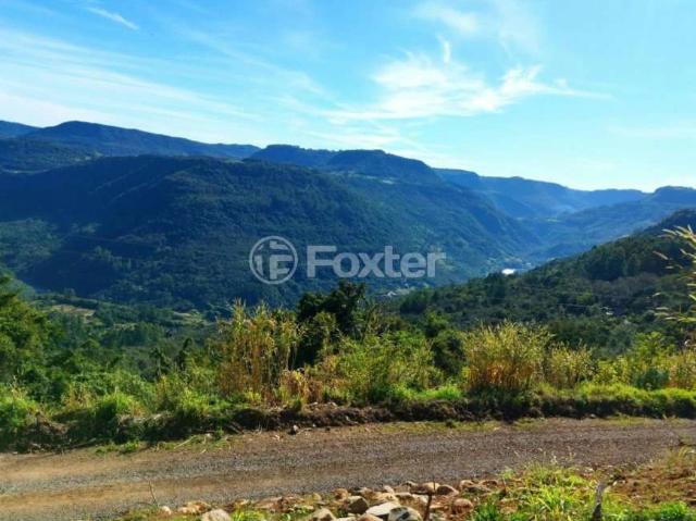Fazenda venda em Boêmios, Nova Petrópolis