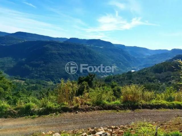Fazenda venda em Região Geográfica Imediata de Caxias do Sul, Nova Petrópolis