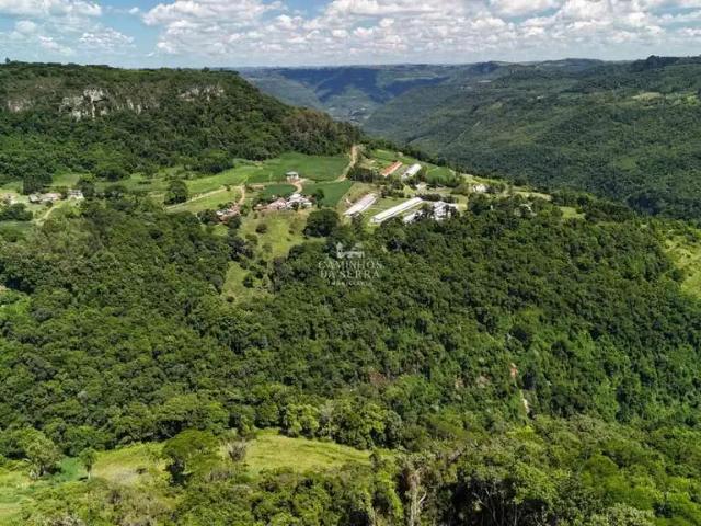 Fazenda venda em Região Geográfica Imediata de Caxias do Sul, Nova Petrópolis