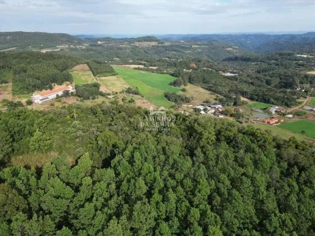 Fazenda venda em Região Geográfica Imediata de Caxias do Sul, Nova Petrópolis