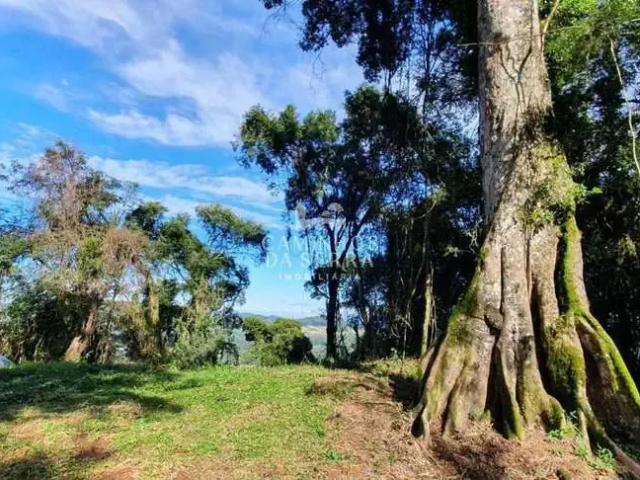 Fazenda venda em Região Geográfica Imediata de Caxias do Sul, Nova Petrópolis