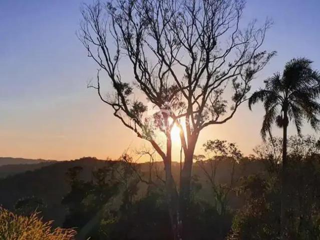 Fazenda venda em Região Geográfica Imediata de Caxias do Sul, Nova Petrópolis