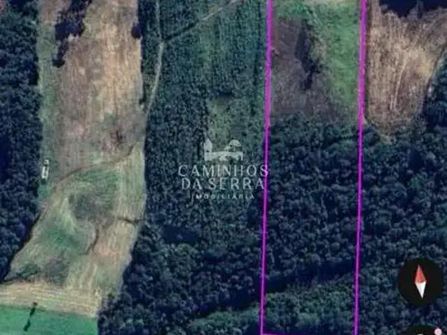 Fazenda venda em Região Geográfica Imediata de Caxias do Sul, Nova Petrópolis