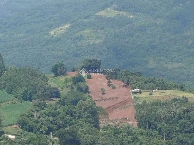 Fazenda venda em Pinhal Alto, Nova Petrópolis