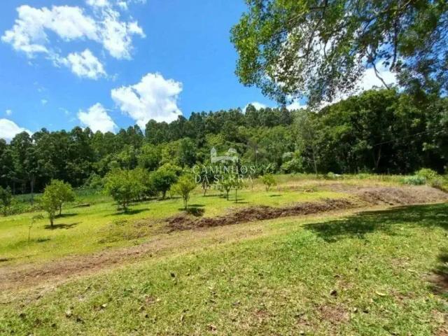 Fazenda venda em Região Geográfica Imediata de Caxias do Sul, Nova Petrópolis