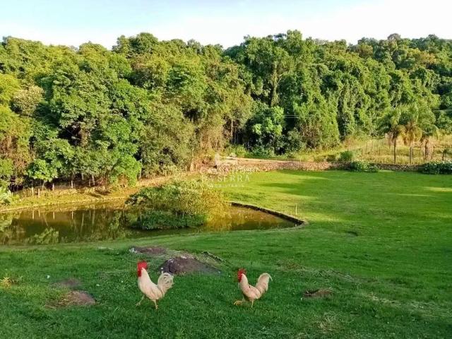 Fazenda venda em Região Geográfica Imediata de Caxias do Sul, Nova Petrópolis