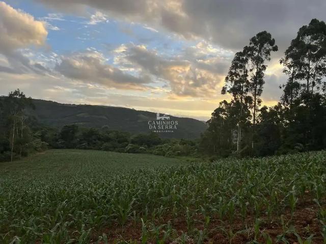 Fazenda venda em Região Geográfica Imediata de Caxias do Sul, Nova Petrópolis