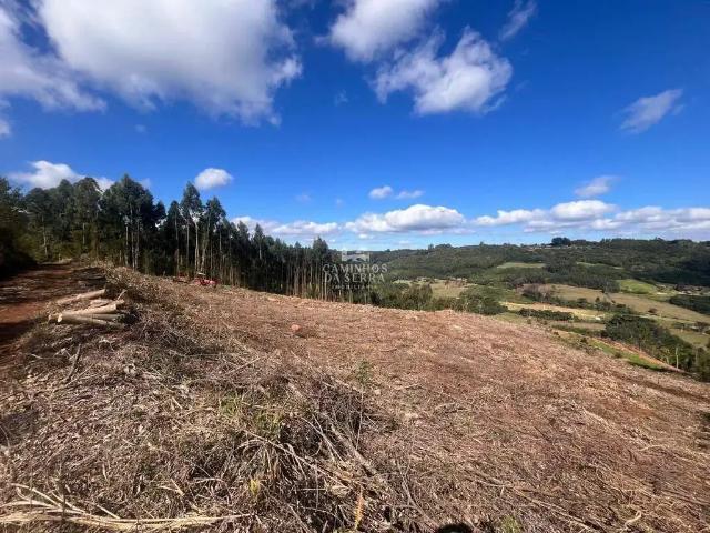Fazenda venda em Região Geográfica Imediata de Caxias do Sul, Nova Petrópolis