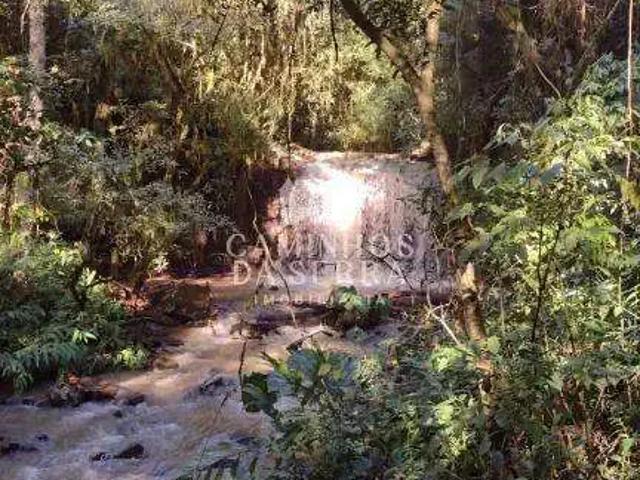 Fazenda venda em Região Geográfica Imediata de Caxias do Sul, Nova Petrópolis