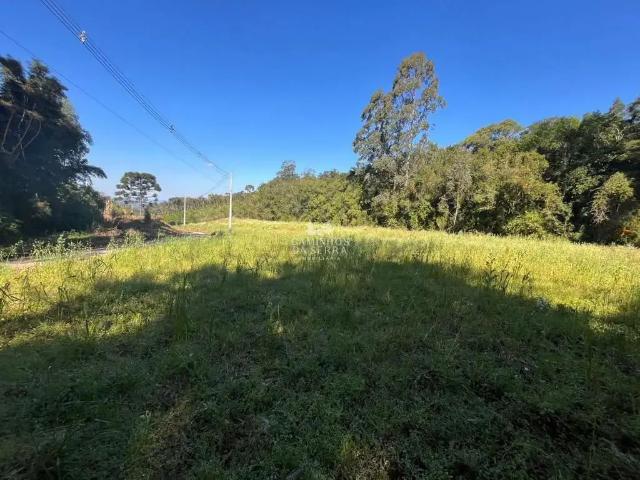 Fazenda venda em Região Geográfica Imediata de Caxias do Sul, Nova Petrópolis