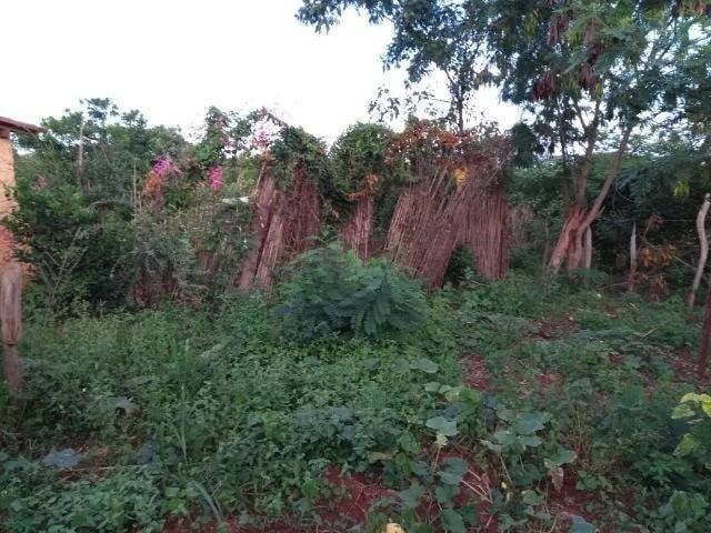 Fazenda venda em Nova Redenção, Região Geográfica Intermediária de Feira de Santana