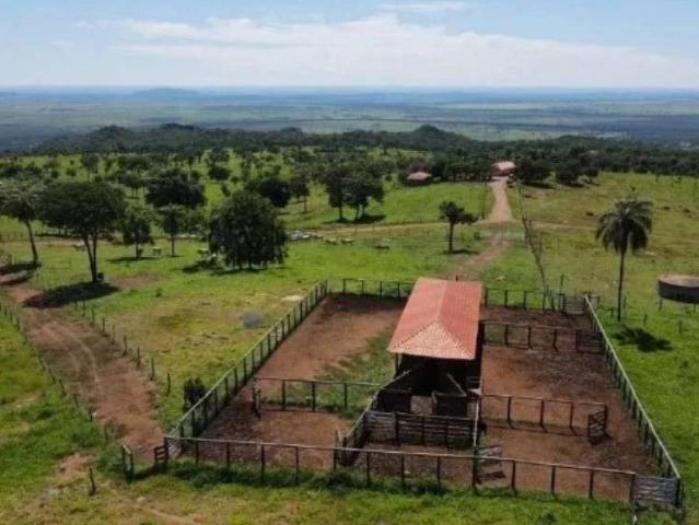 Fazenda venda em Região Geográfica Imediata de Posse-Campos Belos, Nova Roma