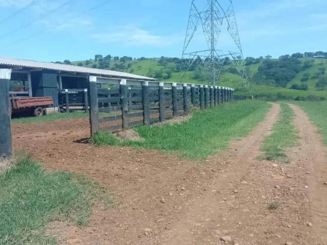 Fazenda venda em Nova Tebas, Região Geográfica Intermediária de Guarapuava