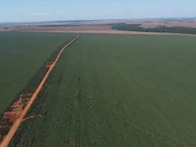 Fazenda venda em Região Geográfica Imediata de Sorriso, Nova Ubiratã