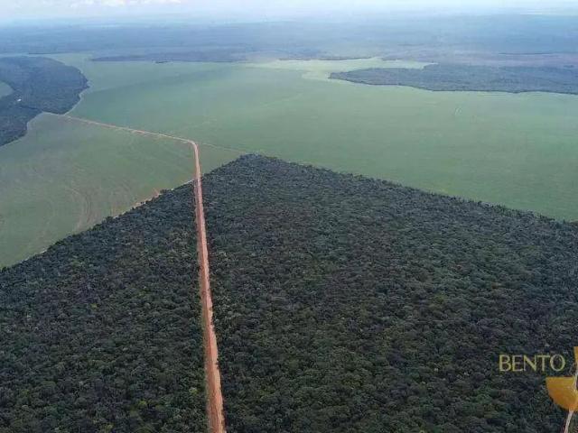 Fazenda venda em Região Geográfica Imediata de Sorriso, Nova Ubiratã