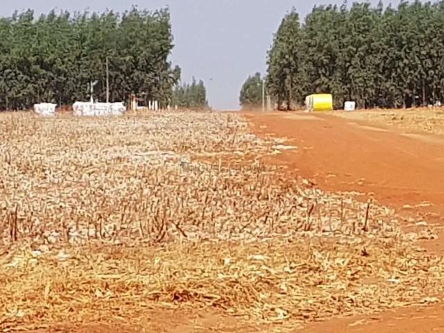 Fazenda venda em Região Geográfica Imediata de Sorriso, Nova Ubiratã