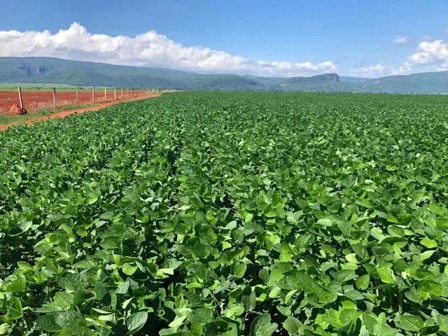 Fazenda venda em Região Geográfica Imediata de Sorriso, Nova Ubiratã