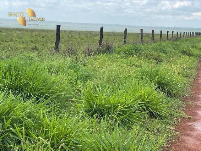 Fazenda venda em Região Geográfica Imediata de Sorriso, Nova Ubiratã