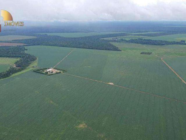 Fazenda venda em Nova Ubiratã, Região Geográfica Intermediária de Sinop