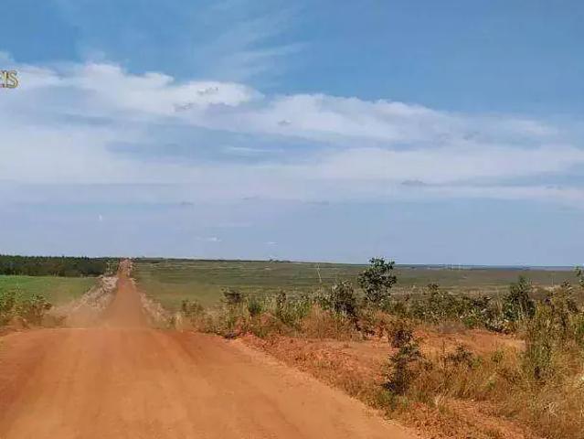 Fazenda venda em Região Geográfica Imediata de Sorriso, Nova Ubiratã