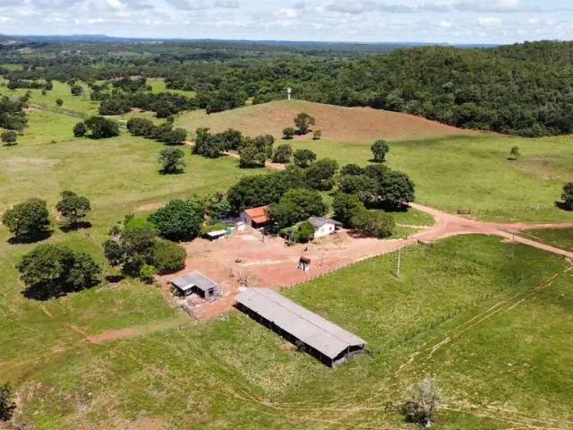 Fazenda venda em Região Geográfica Imediata de Barra do Garças, Nova Xavantina