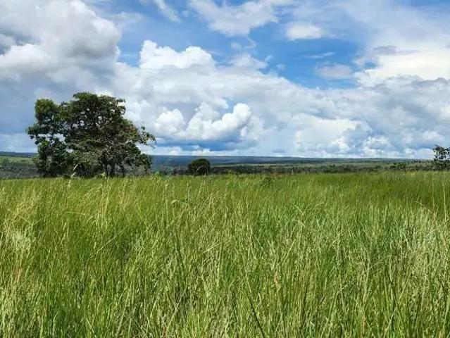 Fazenda venda em Região Geográfica Imediata de Barra do Garças, Nova Xavantina