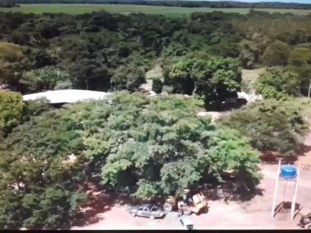 Fazenda venda em Região Geográfica Imediata de Palmas, Novo Acordo