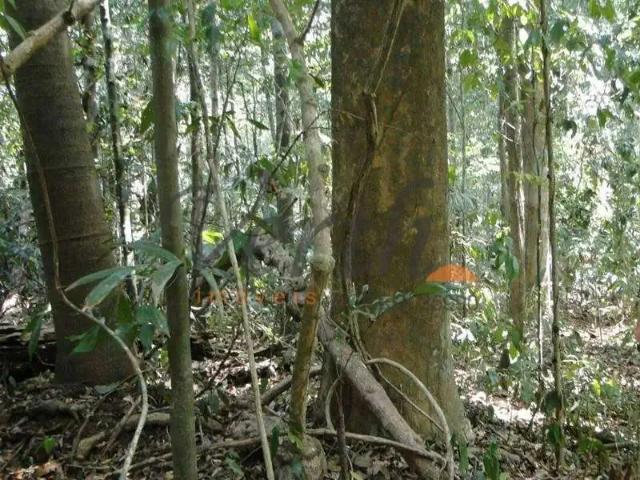Fazenda venda em Novo Aripuanã, Região Norte
