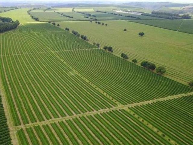 Sítio e chácara venda em Região Geográfica Imediata de Teófilo Otoni, Novo Cruzeiro