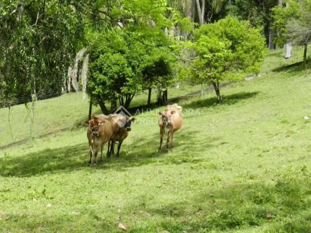 Fazenda venda em Novo Hamburgo