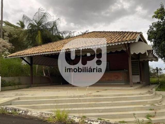Sítio e chácara venda em São Pedro