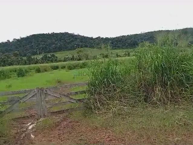 Fazenda venda em Região Geográfica Imediata de Peixoto de Azevedo - Guarantã do Norte, Novo Mundo