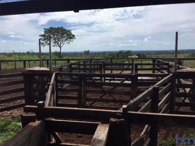 Fazenda venda em Região Geográfica Imediata de Porangatu, Novo Planalto