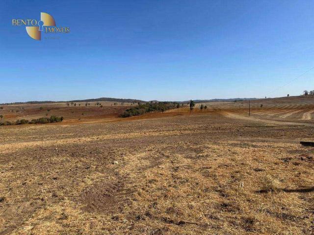 Fazenda venda em Novo São Joaquim, Região Geográfica Intermediária de Barra do Garças