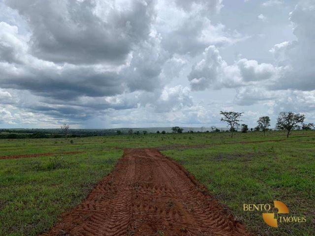 Fazenda venda em Novo São Joaquim, Região Geográfica Intermediária de Barra do Garças