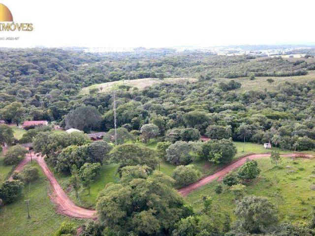 Fazenda venda em Novo São Joaquim, Região Geográfica Intermediária de Barra do Garças