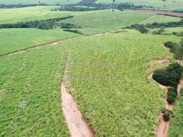 Fazenda venda em Região Imediata de Barretos, Região Metropolitana de São José do Rio Preto