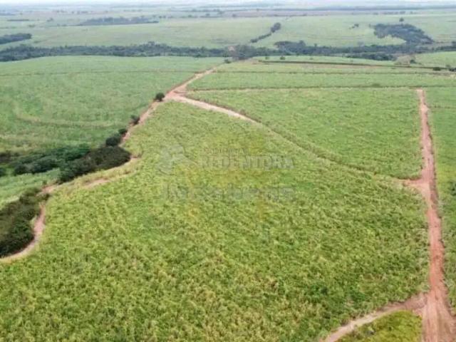 Fazenda venda em Região Imediata de Barretos, Região Metropolitana de São José do Rio Preto