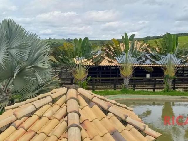 Sítio e chácara venda em Região Geográfica Imediata de Oliveira, Oliveira