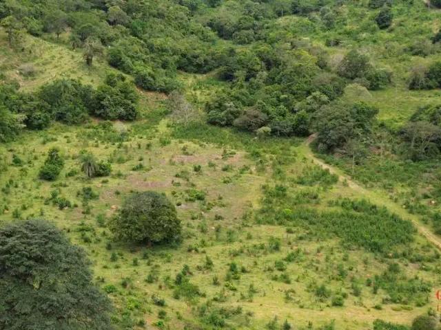 Fazenda venda em Região Geográfica Imediata de Pará de Minas, Onça de Pitangui