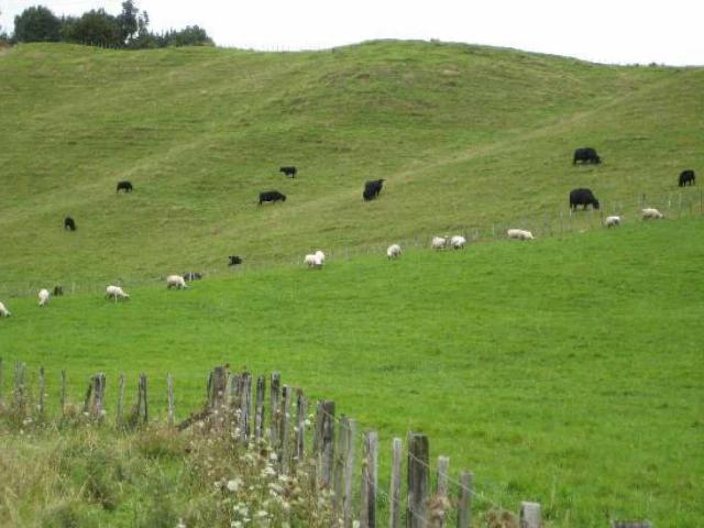 Fazenda venda em Ortigueira, Região Geográfica Intermediária de Ponta Grossa