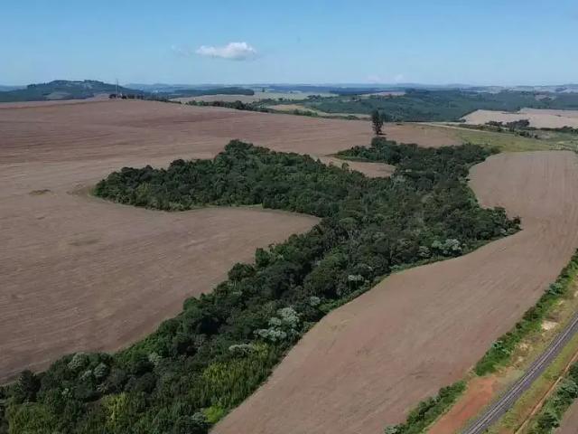 Fazenda venda em Região Geográfica Imediata de Telêmaco Borba, Ortigueira